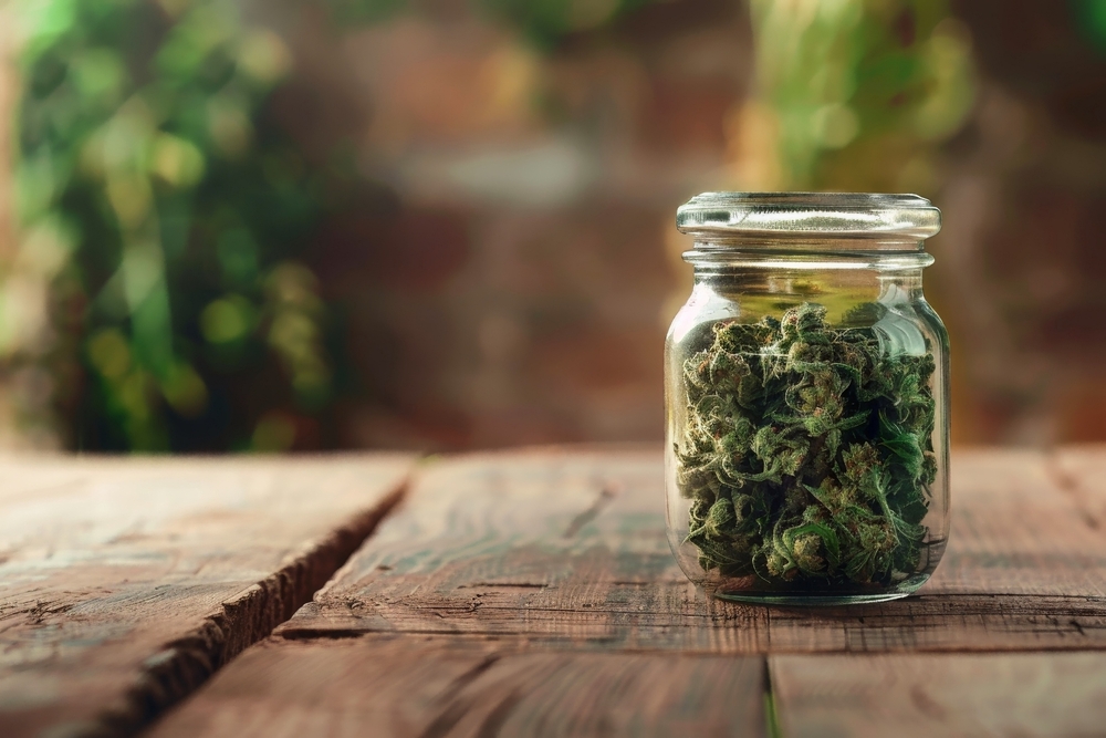 sativa or indica marijuana cannabis in a jar after being organically cultivated