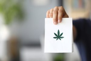 handing over order purchase from a dispensary to a customer looking for high quality cannabis and increase sales of the store