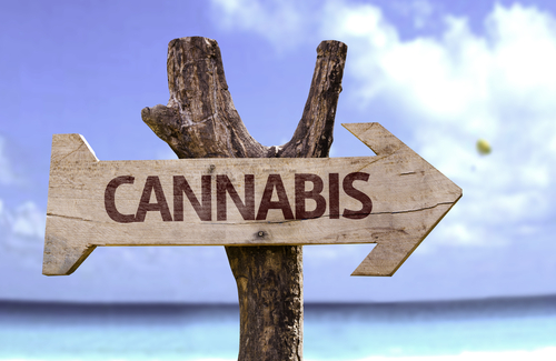 cannabis sign on the beach during the summer