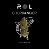 sherbanger hybrid sour d biker kush from rhythm of life organic cannabis in massachusetts