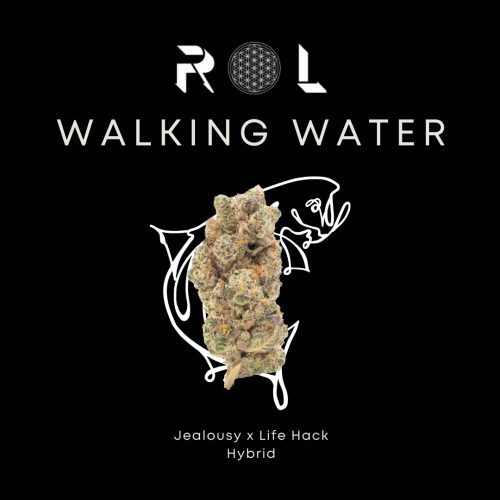 walking water menu product photo from rhythm of life